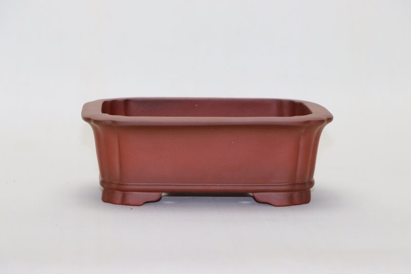 Maceta bonsai rectangular sin esmaltar 17x13cm escuela clásica