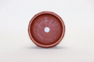Maceta Bonsai tambor- hecha...