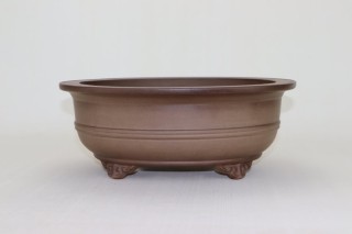 Maceta Bonsai Ovalada Sin Esmaltar 34 cm – Gama Alta | Bonsai Niwa