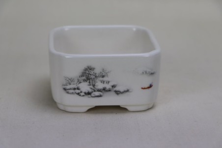 Maceta Bonsai cuadrada...
