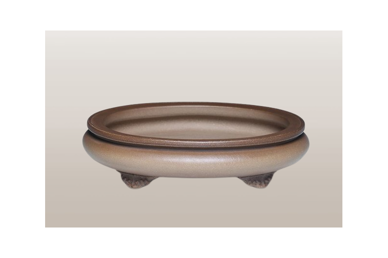 Maceta Bonsai Ovalada diseño  - SU05227