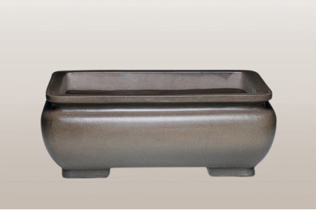 Maceta Bonsai Rectangular 50*37.5*18.5 cm
