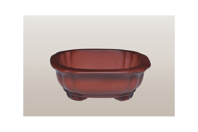 Mini Maceta Bonsai ovalada-diseño escuela clásica- 11*9*4cm-