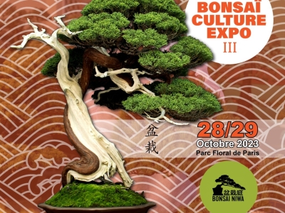 BONSAI CULTURE EXPO 2023