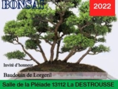 Exposicion de Bonsai La Destrousse ( Francia)