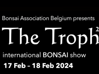 The Trophy 2024  - International Bonsai Show